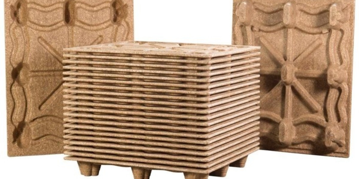 Molded Wood Pallets Market Current Scenario Trends, Comprehensive Analysis and Regional Forecast 2026 to 2036