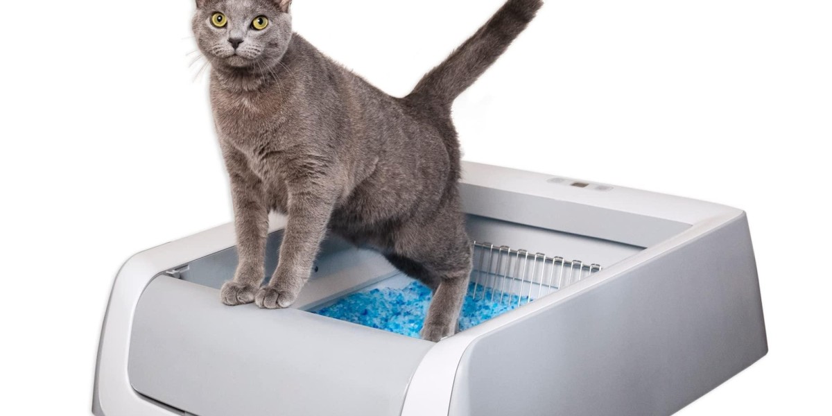 How Pawtechpet Cat Litter Box Automatic Cleaning Enhances Cat Care
