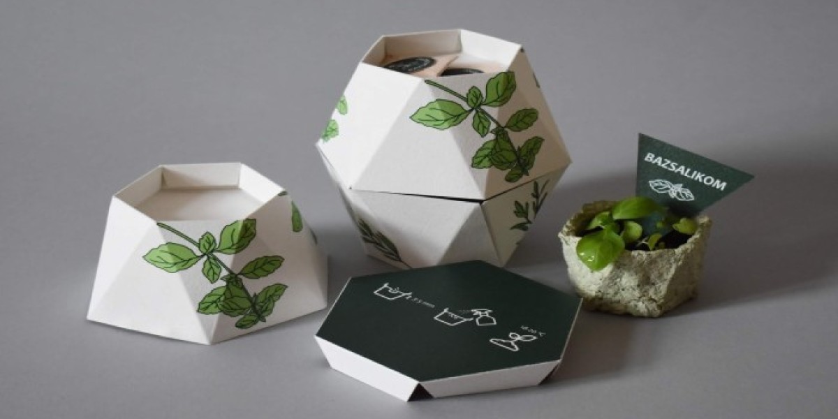 Plantable Packaging Market : Notable Developments and Geographical Outlook 2025 to 2035