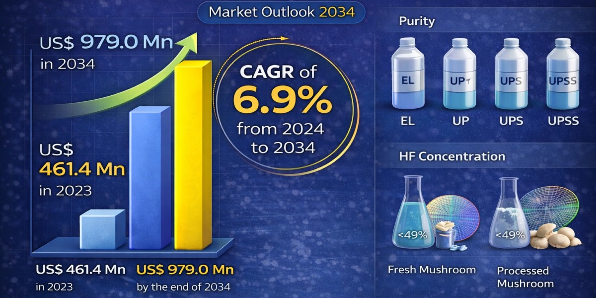 Semiconductor Sector Growth Accelerating Electronic Grade Hydrofluoric Acid Market