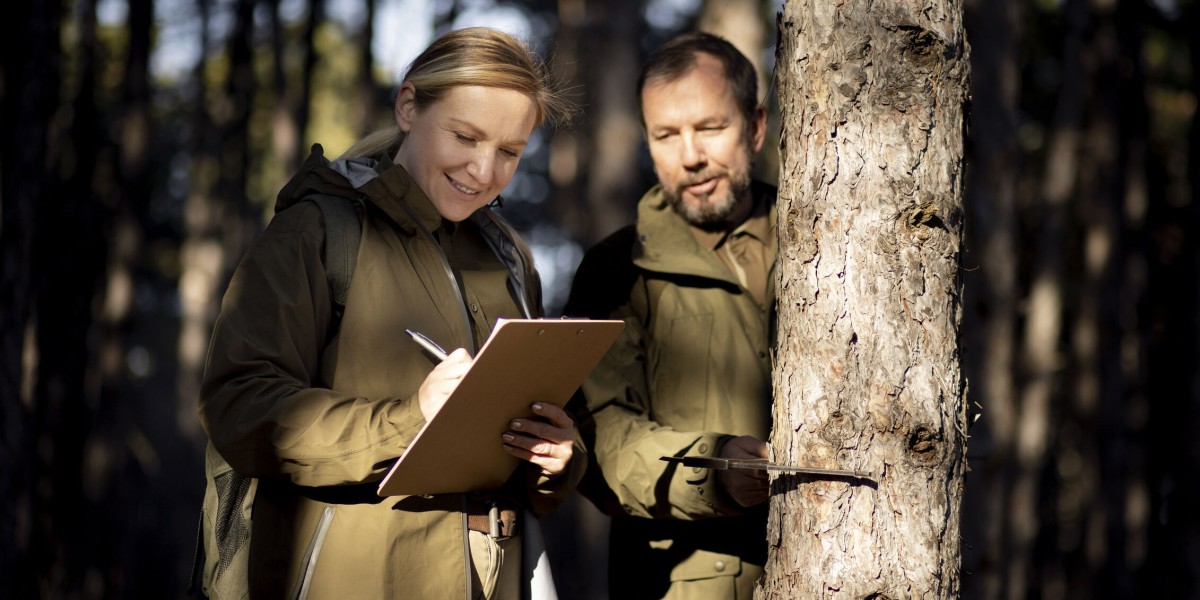 Vermont’s Forest Management Plan: Key Elements Explained