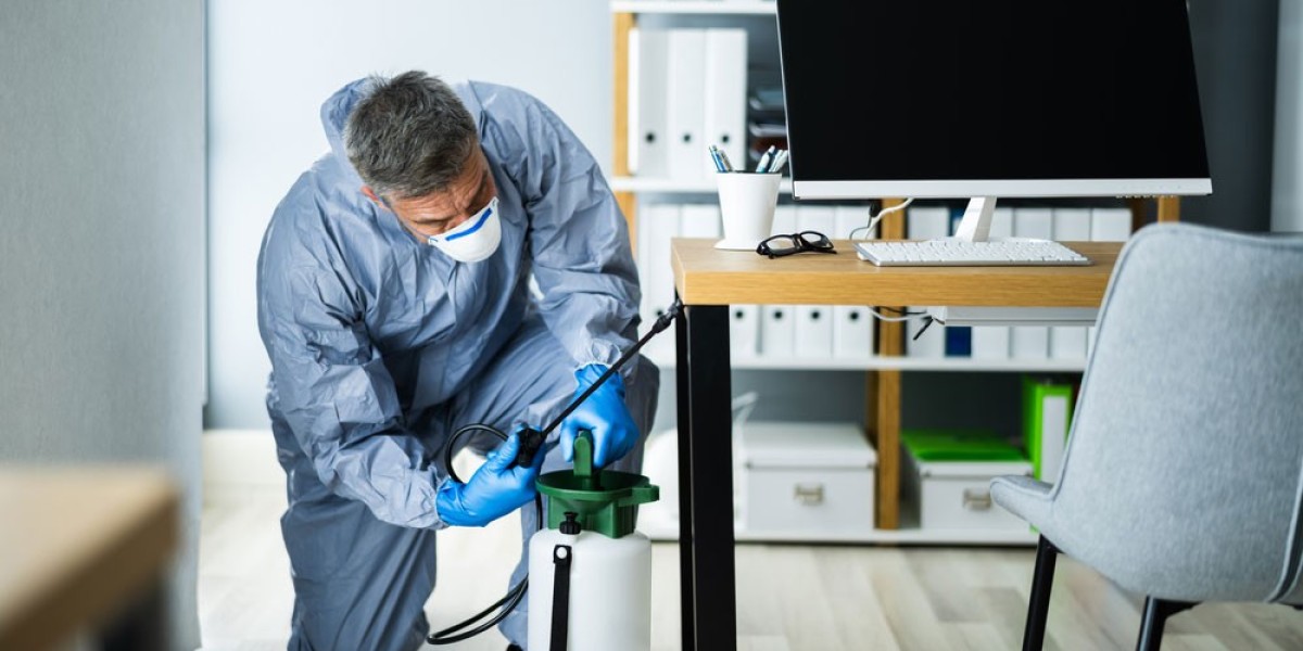 Safeguarding Your Home: Reliable Pest Control Services in Ipswich