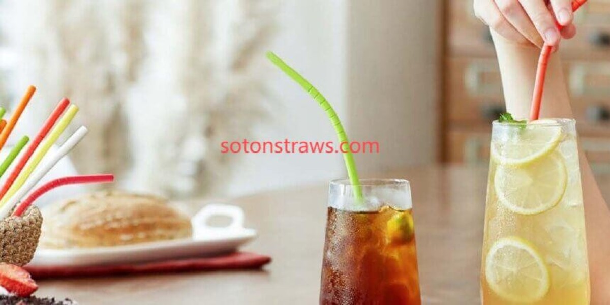 Soton Shapes the Future of Paper Straws Manufactory Standards