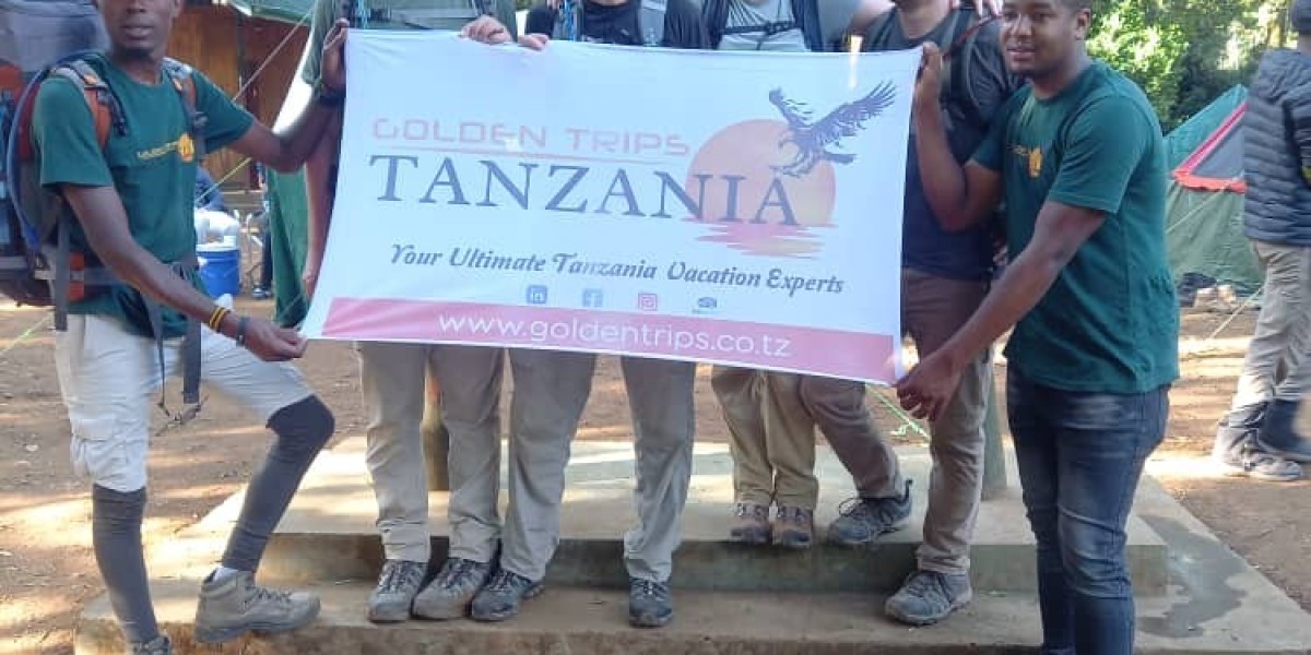 Start Your Journey to the Top with Kilimanjaro Tanzania Tours