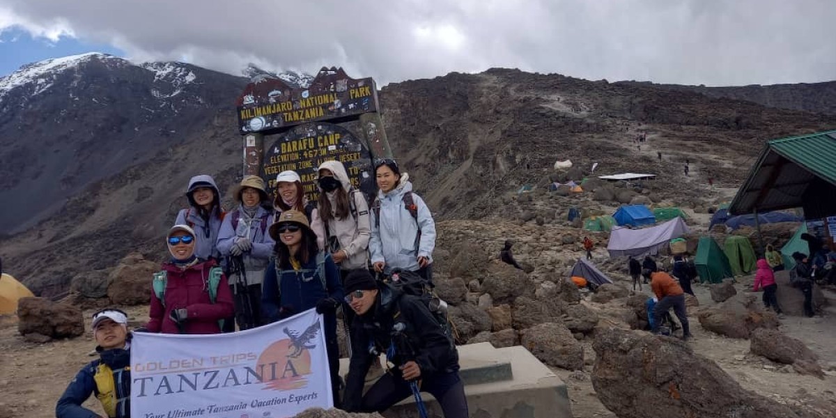 Kilimanjaro Tanzania Tours – Conquer the Roof of Africa with an Unforgettable Adventure