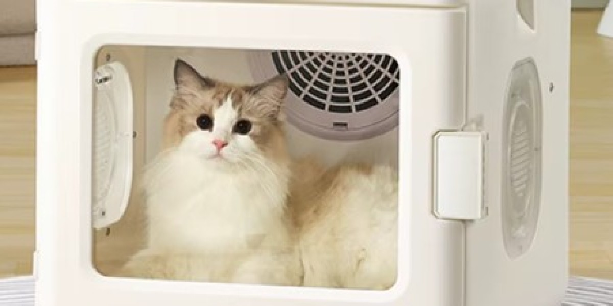 Why Choose Smart Pet Water Blower from pawtechpet?