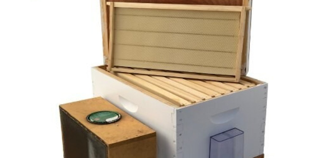 Beekeeping Starter Kit Australia – Bee Hive Kits with Bees for Beginners and Hobbyists