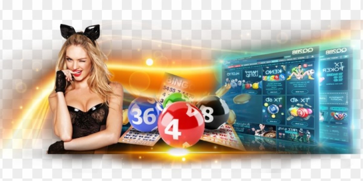 The Simple Habit That Makes Tracking 4D Results Way Smoother