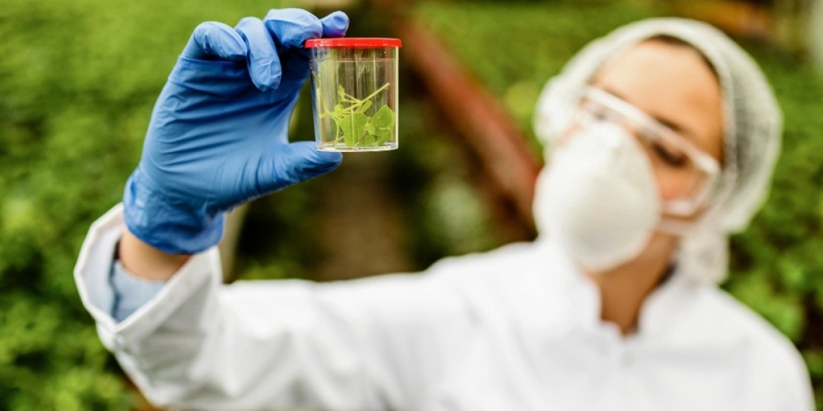 Low Emission VOC Safe PCR Material Market Forecast 2026–2036: Market Expansion Driven by Sustainable Packaging