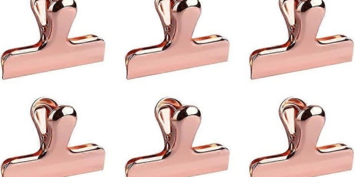 Bag Clips Market 2025 | Present Scenario and Growth Prospects 2035