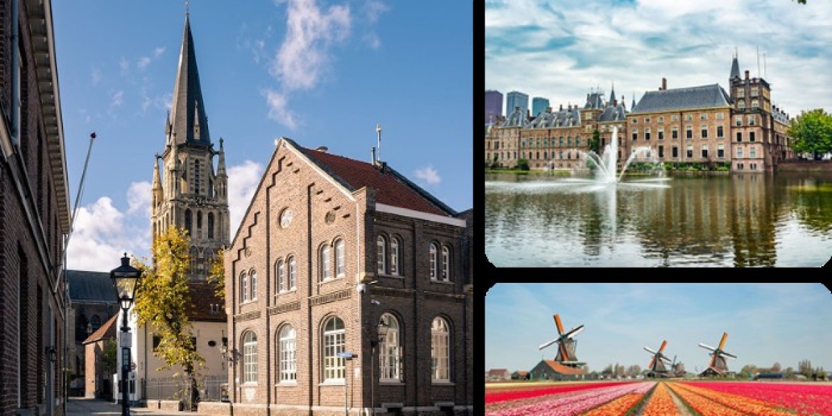 Why Study in Netherlands is the Smart Choice for Global Students