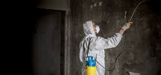 fire and water damage restoration