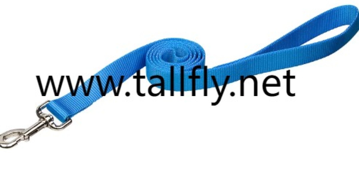 Can a high quality Dog Leash improve your walking habits?