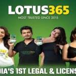 Lotus365 app