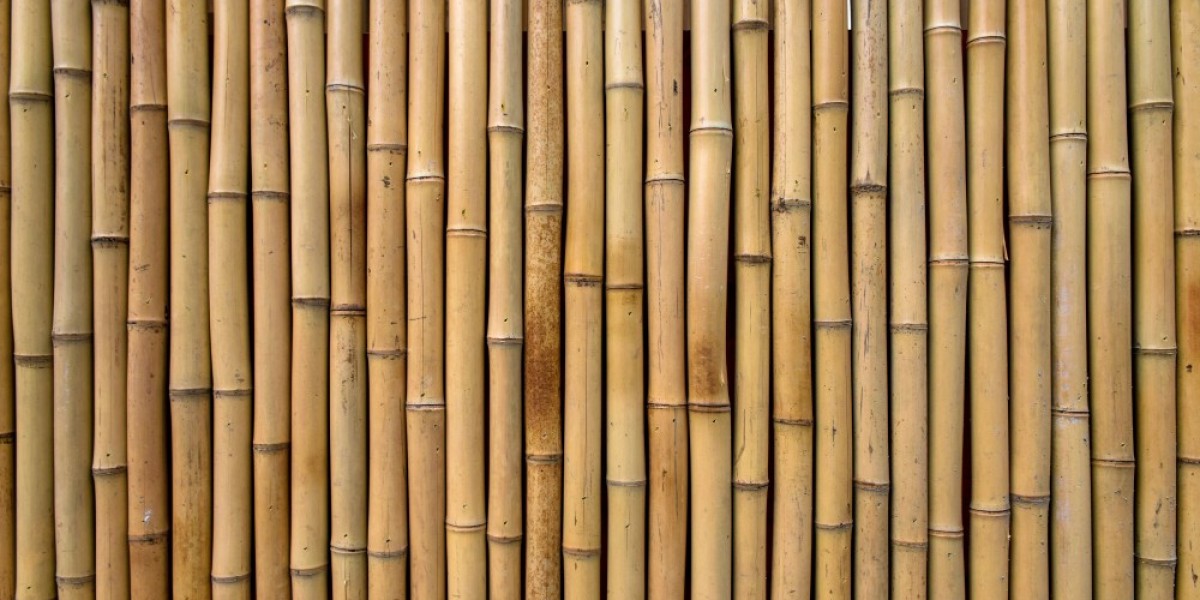 Bamboo Market Forecast 2026–2036: Market Expansion Driven by Sustainable Materials and Eco-Friendly Alternatives