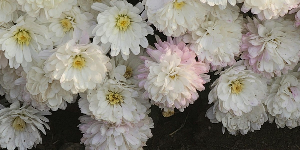 U4GM ARC Raiders Dolabra Guide Is It Really Worth It