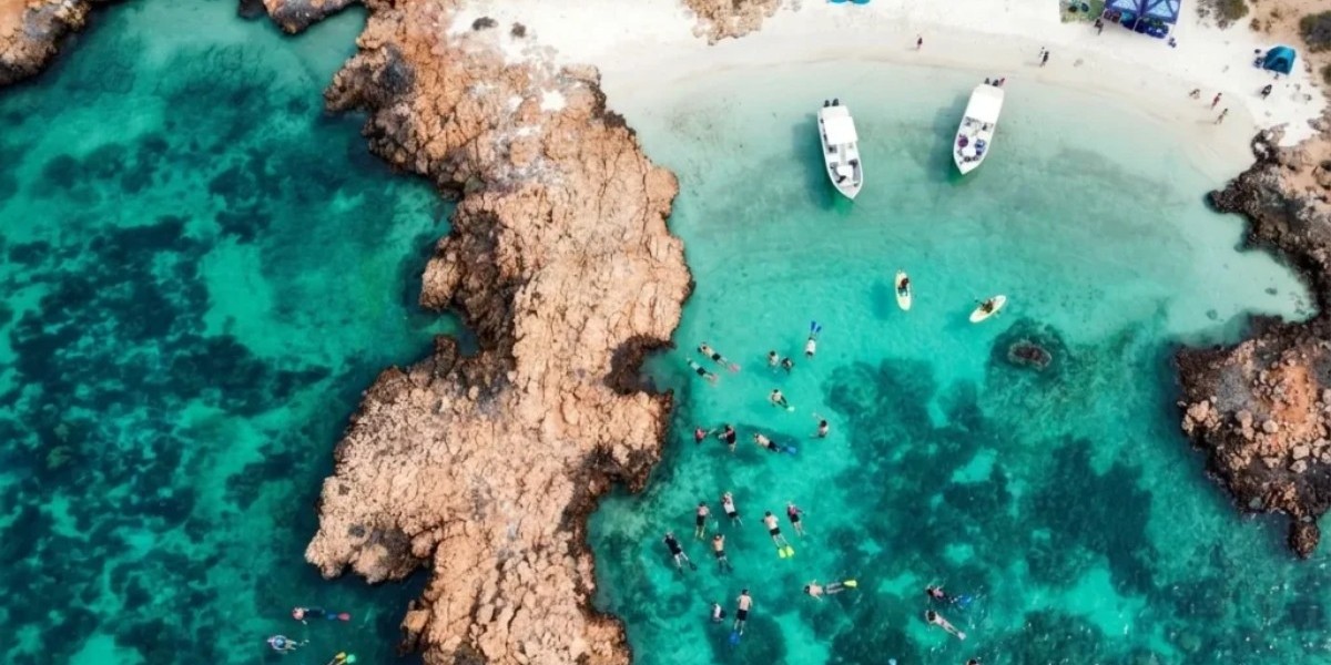 Can Beginners Enjoy Half Day Snorkeling Tours?