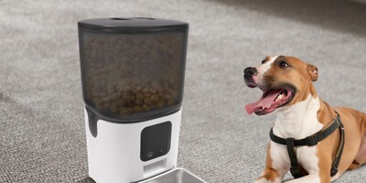 Smart Hydration Innovation for Modern Pet Living