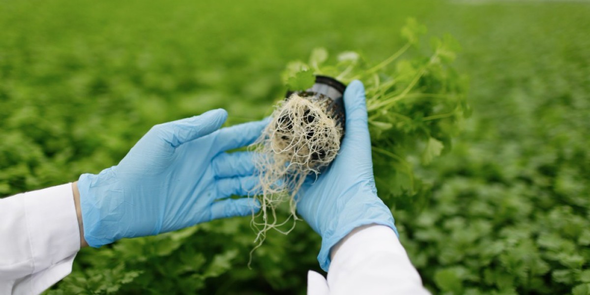 Biostimulants Market Forecast 2026–2036: Sustainable Agriculture Practices