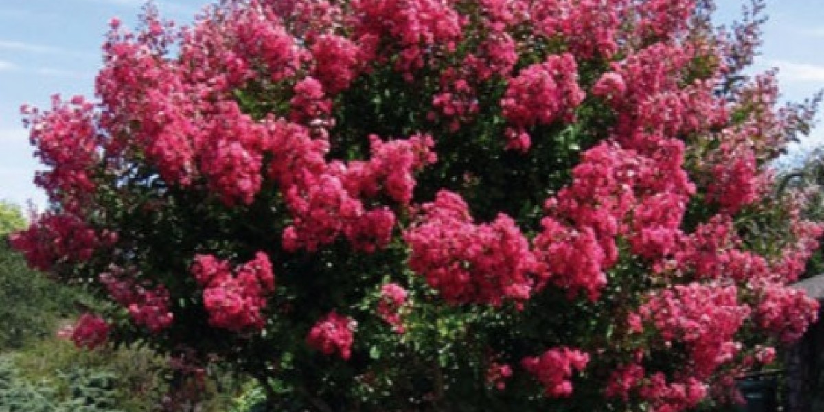Enhancing Outdoor Living with Smart Green Landscaping Solutions