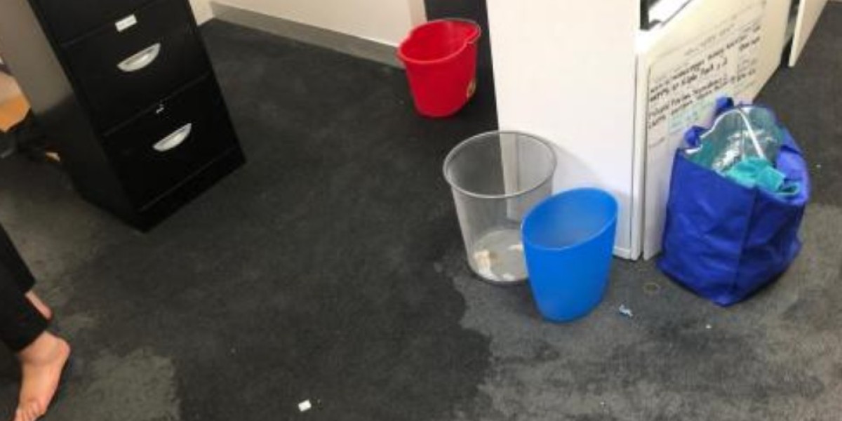 How Carpet Drying Melbourne Prevents Mould and Odours