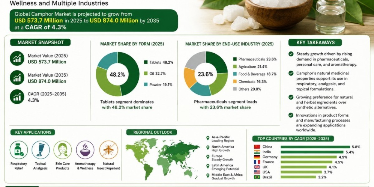 Camphor Tablets Segment Leads Global Market with 48.2% Share, Supported by Expanding Healthcare Applications