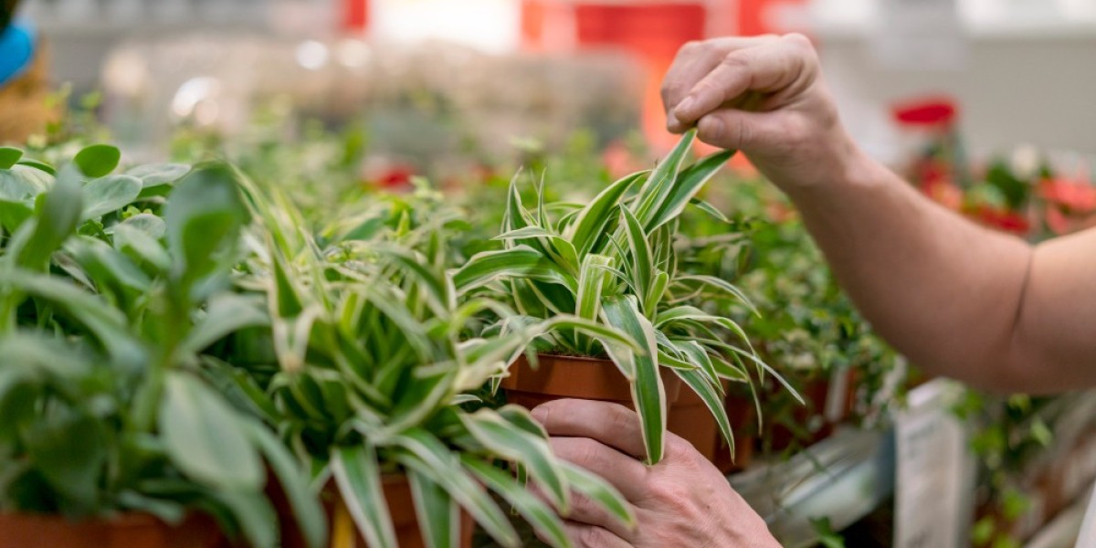 Biostimulants Market Forecast 2026–2036: Sustainable Agriculture Practices Accelerate Global Market Expansion