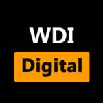 Escort Website Design company