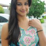 Nisha Verma