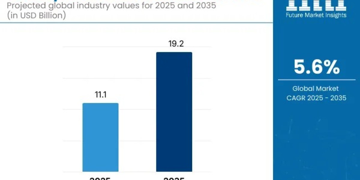 Conveyors & Belt Loaders Market Support USD 19.2 Billion by 2035