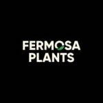 Fermosa Plants