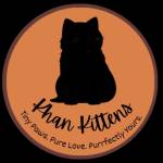 Khan kittens