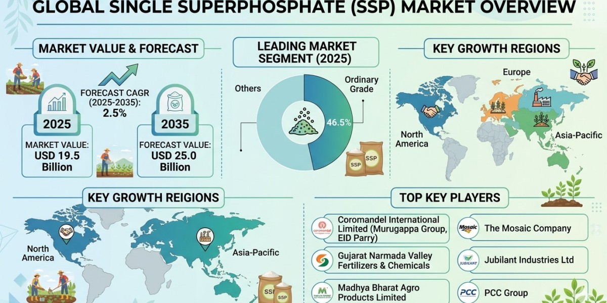 Global Single Superphosphate (SSP) Market Forecast 2025–2035: Market Expansion Driven by Soil Nutrient Management