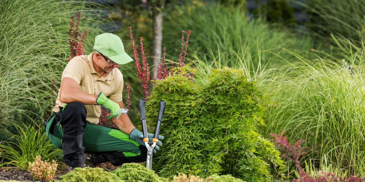 Why Professional Landscaping Services Melbourne Deliver Better Outdoor Results