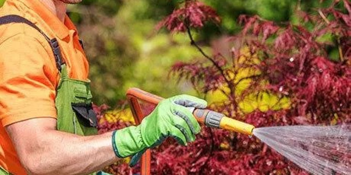Lawn care charlotte nc