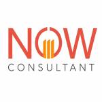 nowexperttaxconsultant